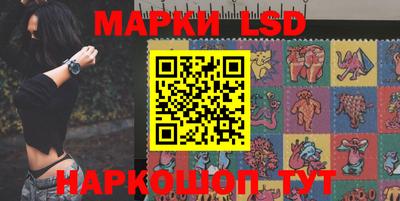 гидра Новодвинск