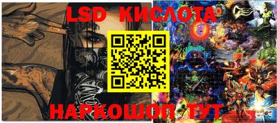 гидра Новодвинск