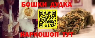 гидра Новодвинск