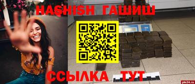 гидра Новодвинск