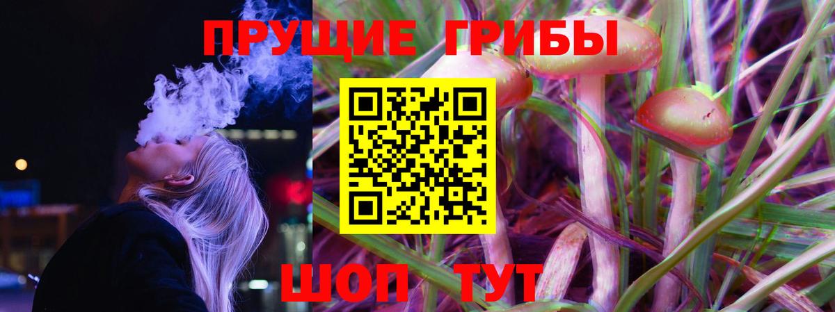 даркнет сайт  Галлюциногенные грибы ЛСД  Вход с VPN  Псилоцибиновые грибы GOLDEN TEACHER  Усть-Джегута 